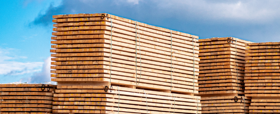 CE marking untuk produk konstruksi kayu