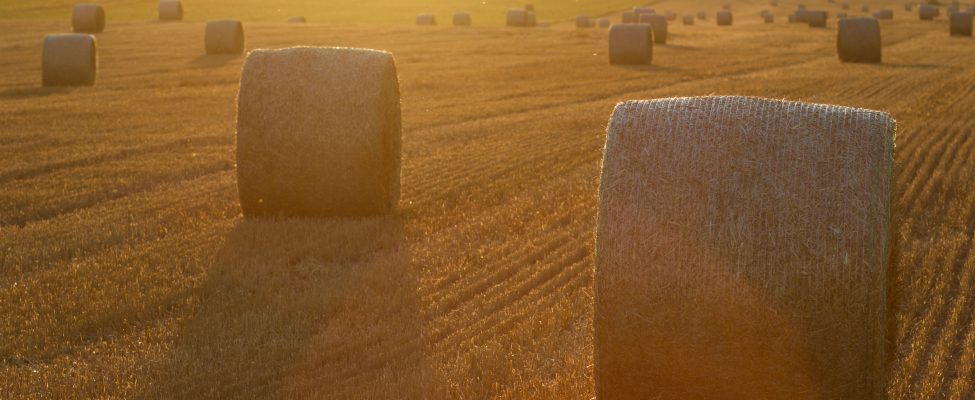 Skema verifikasi SURE