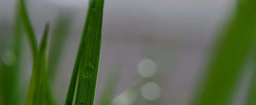 Verifikasi Jejak Karbon Produk (ISO 14067, PAS 2050)