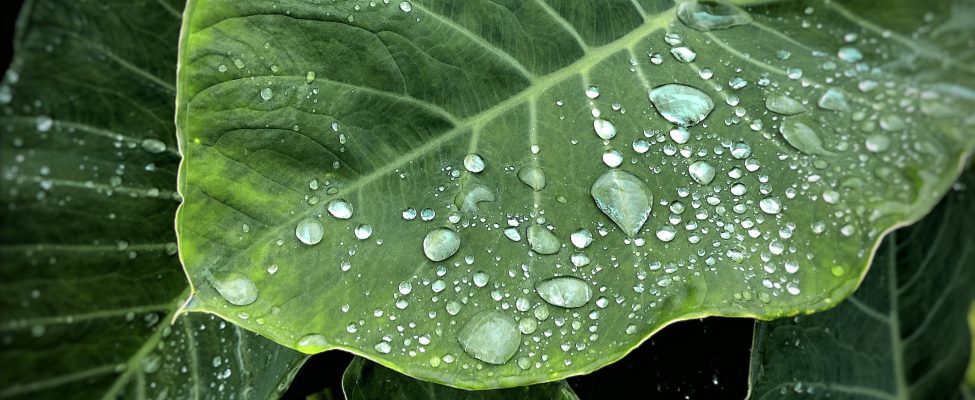 Verifikasi Jejak Air ISO 14046