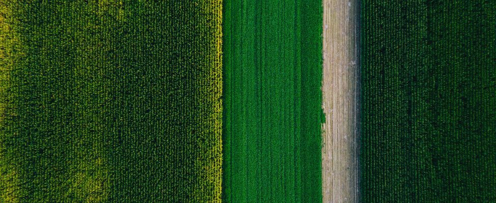 Taksonomi UE, SFDR, dan Verifikasi Obligasi Hijau Eropa