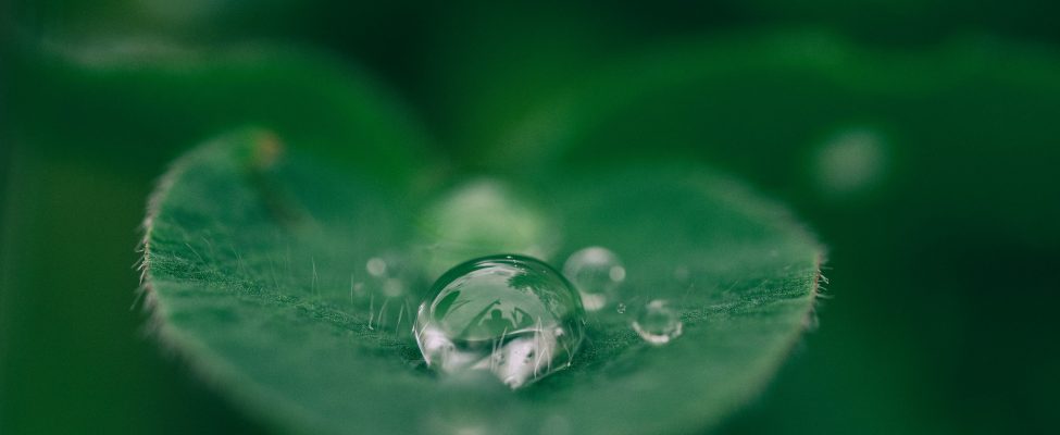 Penilaian Siklus Hidup (Life Cycle Assessment/LCA)/Deklarasi Produk Lingkungan (Enviromental Product Declaration/EPD)