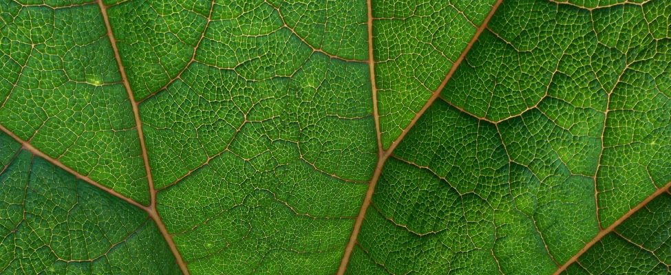 BM Certification Raih Akreditasi ISO 17029:2020 dan ISO 14065:2022