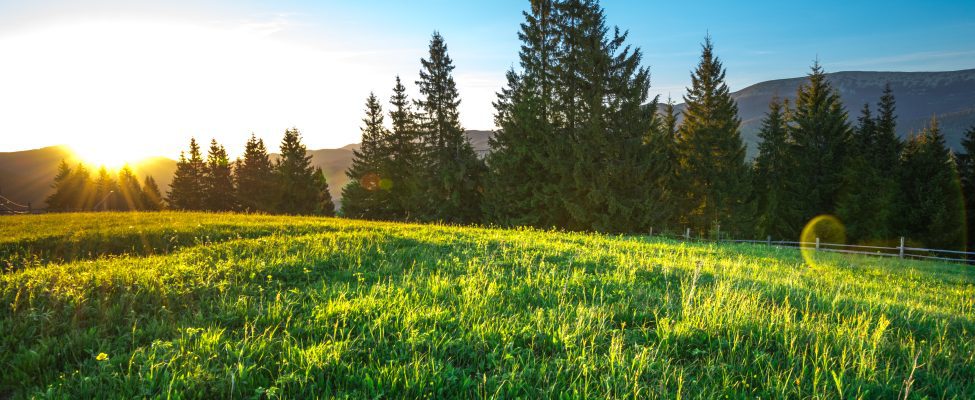 Perluasan Sertifikasi Green Gold Label